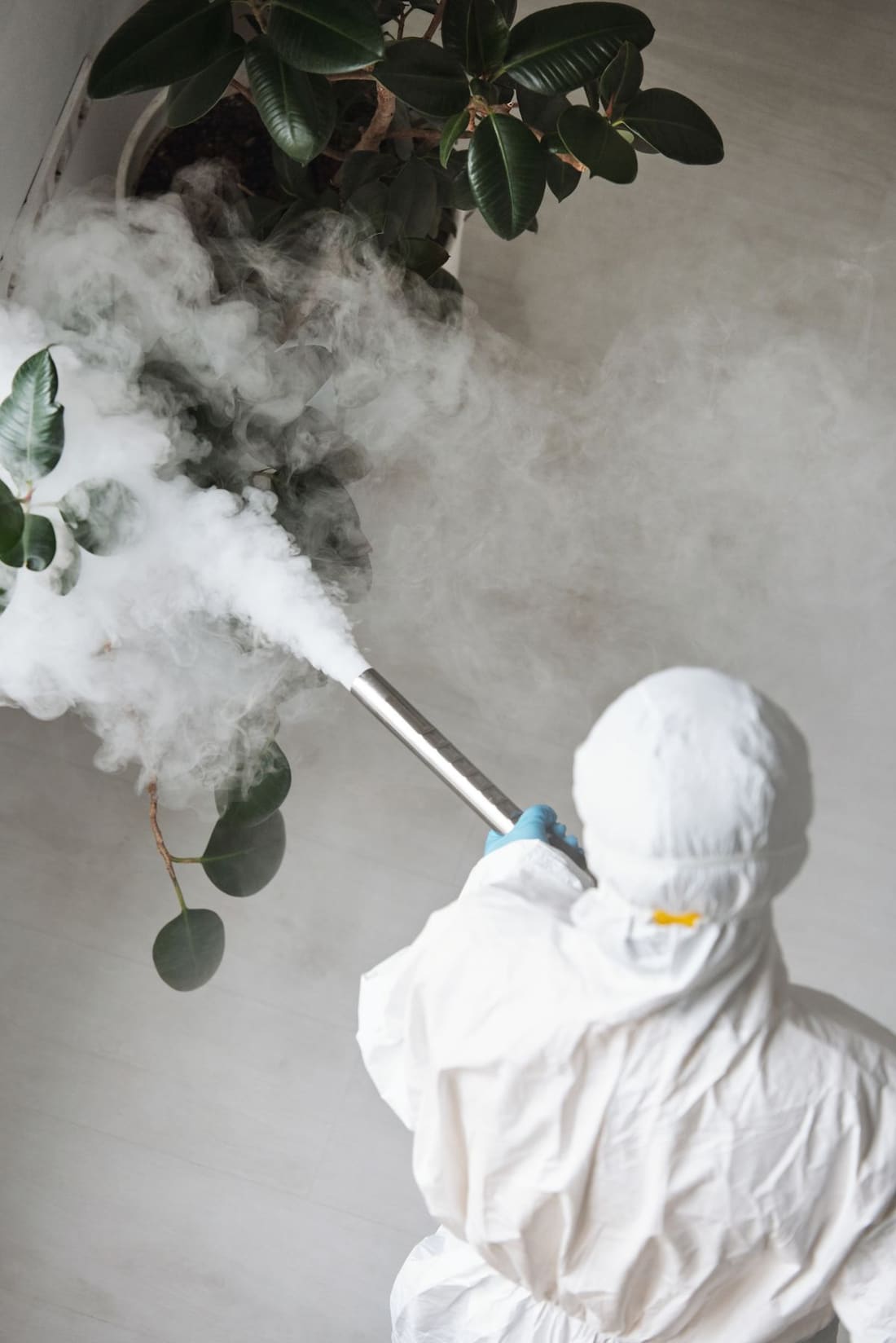 Fumigation Services