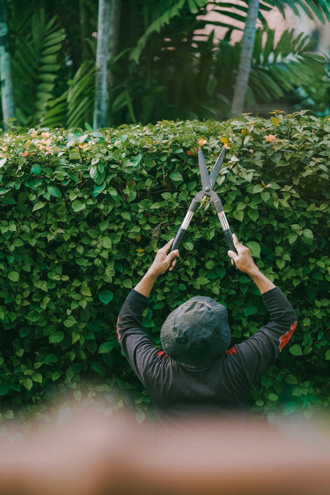 Landscaping & Gardening