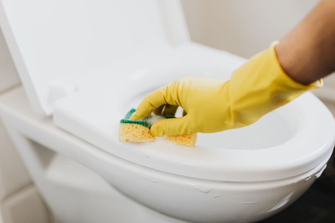 Sink & Toilet Cleaning